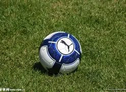 赵薇揭秘签,约张哲瀚背,后的理由,贪玩娱乐官网玩家首选,贪玩娱乐官网H5,贪玩娱乐官网游戏平台