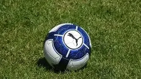 赵薇揭秘签约张哲瀚背后的理由：独具慧眼看重其深邃气质