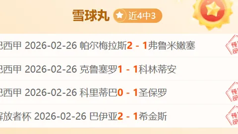 春节狂欢盛宴：亮点纷呈，市场活力无限